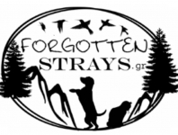 Forgotten Strays