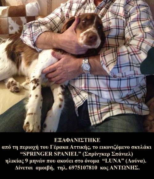 &Chi;ά&theta;&eta;&kappa;&epsilon; &Sigma;&pi;&rho;ί&nu;&gamma;&kappa;&epsilon;&rho; &Sigma;&pi;ά&nu;&iota;&epsilon;&lambda;, &Gamma;έ&rho;&alpha;&kappa;&alpha;&sigmaf;