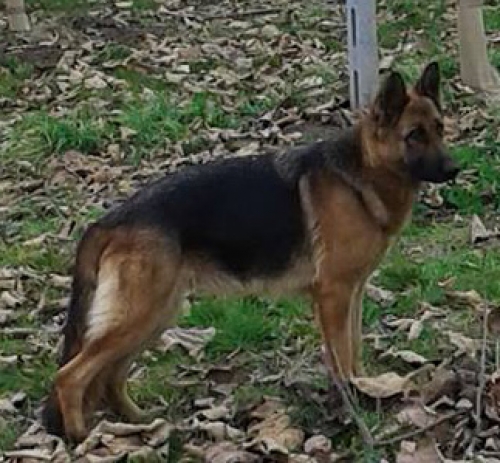 &Chi;ά&theta;&eta;&kappa;&epsilon; &sigma;&tau;&eta;&nu; &Epsilon;&pi;&iota;&sigma;&kappa;&omicron;&pi;ή