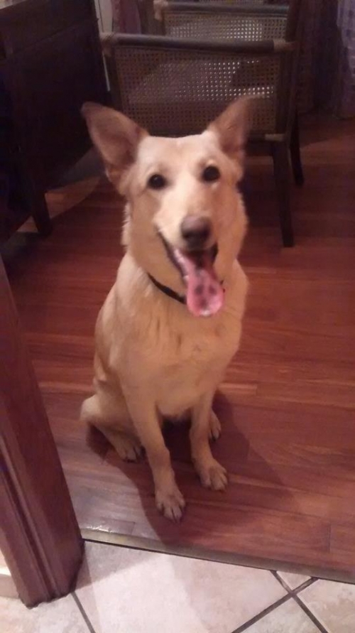 &Beta;&rho;έ&theta;&eta;&kappa;&epsilon; &mu;&pi;&epsilon;&zeta; &theta;&eta;&lambda;&upsilon;&kappa;ό &sigma;&tau;&omicron; &Beta;ύ&rho;&omega;&nu;&alpha;