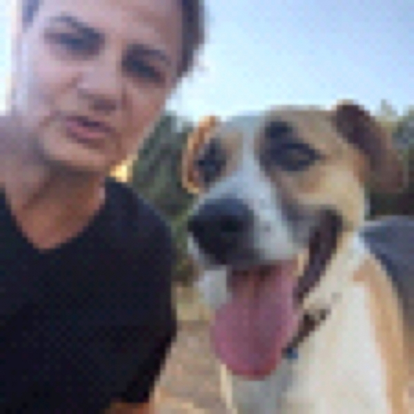 &Chi;ά&theta;&eta;&kappa;&epsilon; &sigma;&kappa;ύ&lambda;&omicron;&sigmaf; &mu;&epsilon; ό&nu;&omicron;&mu;&alpha; &Kappa;&omicron;ύ&mu;&pi;&alpha; &sigma;&tau;&eta;&nu; &Phi;&iota;&lambda;&omicron;&theta;&epsilon;&eta;