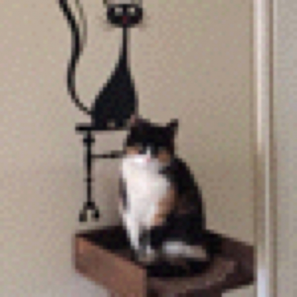 &Chi;ά&theta;&eta;&kappa;&epsilon; &eta;&mu;ί&alpha;&iota;&mu;&eta; &gamma;&alpha;&tau;&omicron;ύ&lambda;&alpha;, &Mu;&alpha;&rho;&omicron;ύ&sigma;&iota;