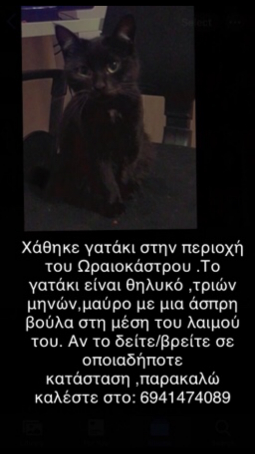 Χάθηκε γατάκι, Ωραιόκαστρο