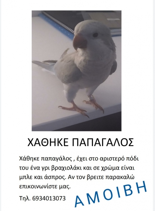 Χάθηκε