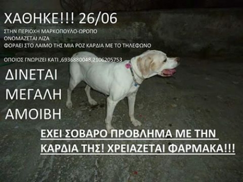 &Chi;ά&theta;&eta;&kappa;&epsilon; &lambda;&epsilon;&upsilon;&kappa;ό&sigmaf; &sigma;&kappa;ύ&lambda;&omicron;&sigmaf;, &Mu;&alpha;&rho;&kappa;ό&pi;&omicron;&upsilon;&lambda;&omicron; &Omega;&rho;&omicron;&pi;&omicron;ύ