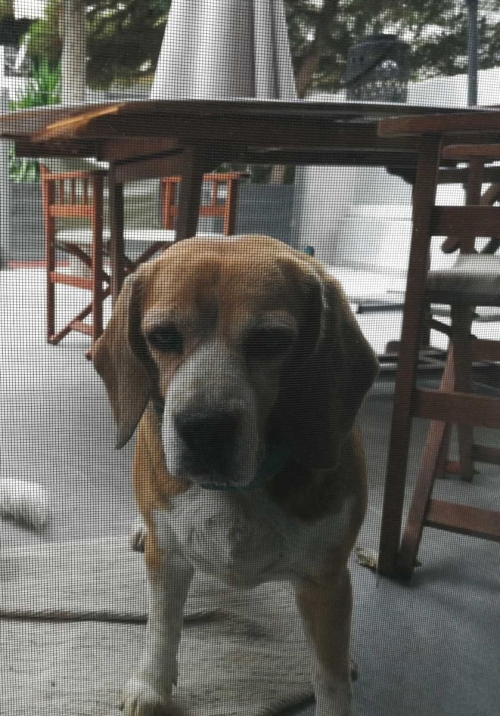 !!!ΧΑΘΗΚΕ Η ΜΠΕΡΥ!!!