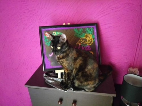 Χαθηκε η καρλα