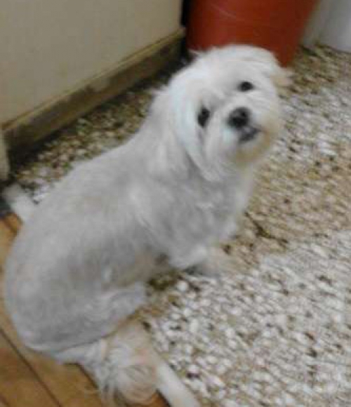 &Chi;ά&theta;&eta;&kappa;&epsilon; &sigma;&tau;&omicron; &Mu;&epsilon;&tau;&alpha;&xi;&omicron;&upsilon;&rho;&gamma;&epsilon;ί&omicron;