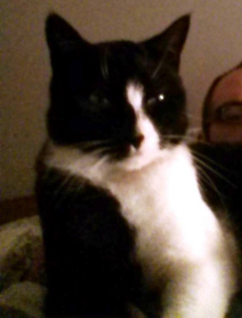 &Chi;ά&theta;&eta;&kappa;&epsilon; &gamma;ά&tau;&omicron;&sigmaf;, &Alpha;&gamma;. &Delta;&eta;&mu;ή&tau;&rho;&iota;&omicron;&sigmaf;