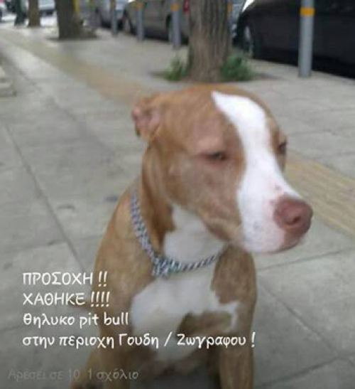 &Chi;ά&theta;&eta;&kappa;&epsilon; &sigma;&tau;&omicron;&upsilon; &Zeta;&omega;&gamma;&rho;ά&phi;&omicron;&upsilon;