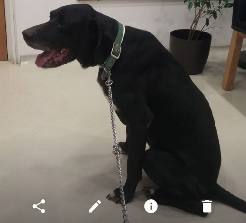 &Chi;ά&theta;&eta;&kappa;&epsilon; &eta;&mu;ί&alpha;&iota;&mu;&omicron; &Pi;όϊ&nu;&tau;&epsilon;&rho;, Ί&lambda;&iota;&omicron;&nu;