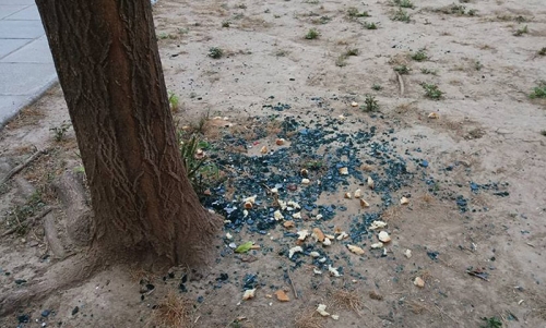 Φόλες στη Λάρισα