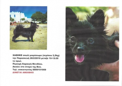 &Chi;ά&theta;&eta;&kappa;&epsilon; &mu;&alpha;ύ&rho;&omicron; &sigma;&kappa;&upsilon;&lambda;ά&kappa;&iota;