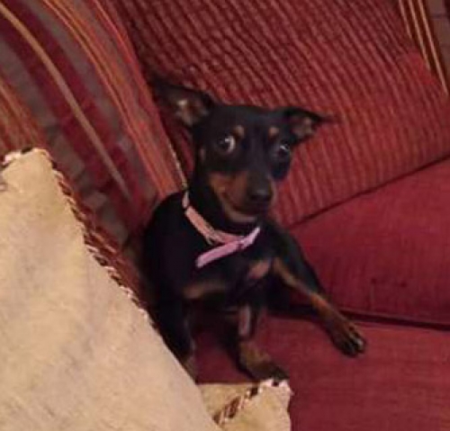 Χάθηκε στον Αγ. Δημήτριο