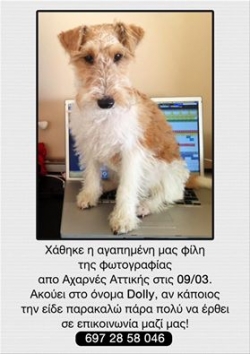 &Chi;ά&theta;&eta;&kappa;&epsilon; &mu;&pi;&epsilon;&zeta; &lambda;&epsilon;&upsilon;&kappa;ό &Tau;&epsilon;&rho;&rho;&iota;έ, &Alpha;&chi;&alpha;&rho;&nu;&epsilon;&sigmaf;