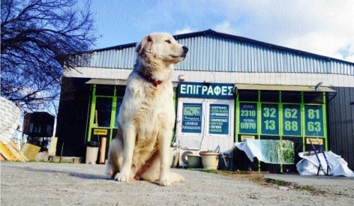 &Chi;ά&theta;&eta;&kappa;&epsilon; &theta;&eta;&lambda;&upsilon;&kappa;ό &Lambda;ά&mu;&pi;&rho;&alpha;&nu;&tau;&omicron;&rho;, &Pi;&upsilon;&lambda;&alpha;ί&alpha;