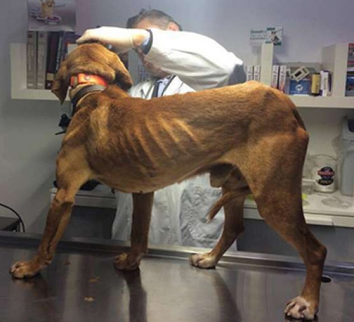 &Chi;ά&theta;&eta;&kappa;&epsilon; &sigma;&tau;&eta;&nu; &Alpha;&nu;&omega; &Gamma;&lambda;&upsilon;&phi;ά&delta;&alpha;