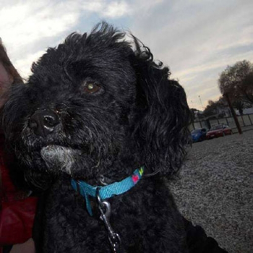 Χάθηκε στη Ν. Φιλαδέλφεια