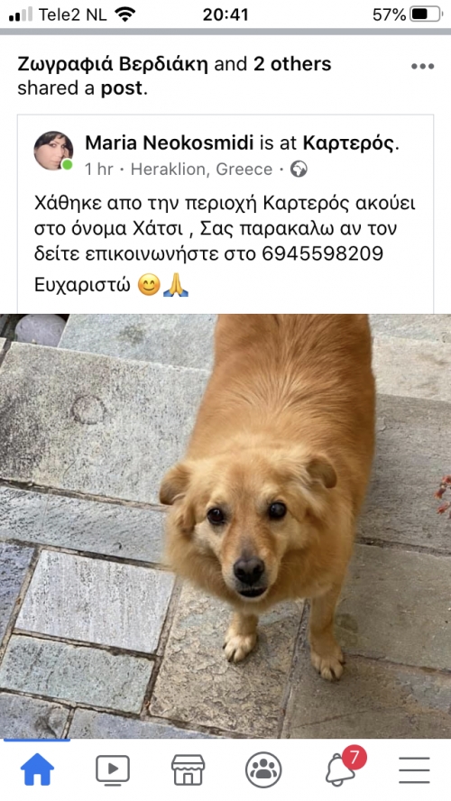 Χάθηκε!!! SOS!!