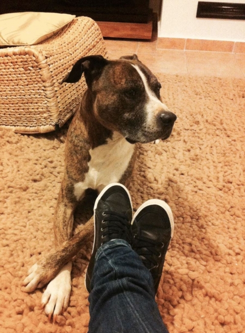 ΧΑΘΗΚΕ Ο ΡΙΜΠΟ ΜΑΣ