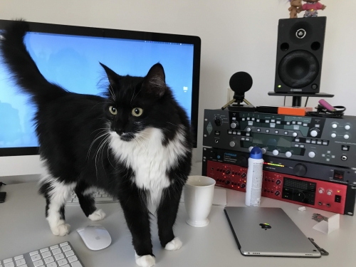 ΜΑΡΟΥΣΙ ΧΑΘΗΚΕ ΓΑΤΟΥΛΑ