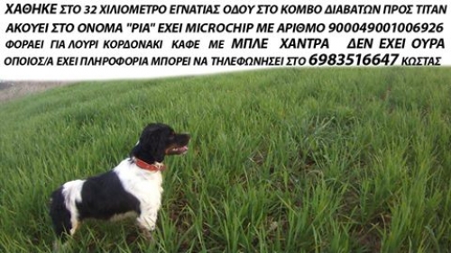 Χάθηκε άσπρο μαύρο Επανιέλ