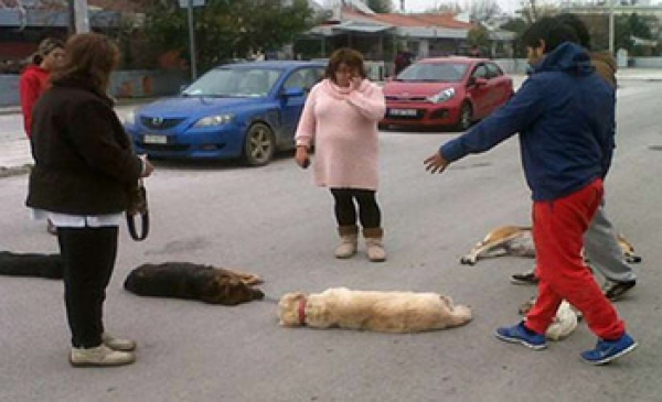 Προσοχή! Φόλες στον Βόλο