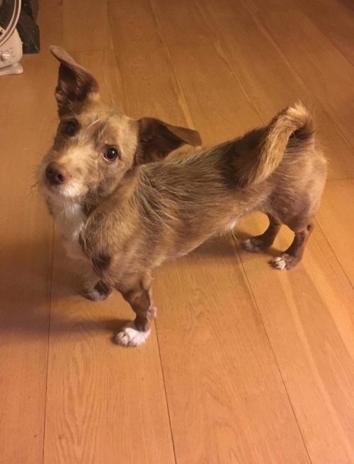 Χάθηκε ο Βολού