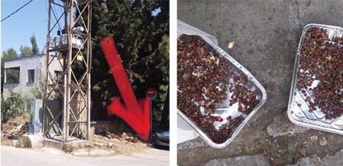 Φόλες στην Ν. Ερυθραία!