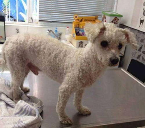 &Chi;ά&theta;&eta;&kappa;&epsilon; &sigma;&tau;&omicron; &Nu;. &Eta;&rho;ά&kappa;&lambda;&epsilon;&iota;&omicron;