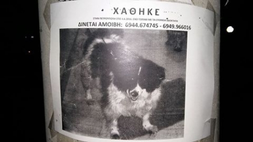 &Chi;ά&theta;&eta;&kappa;&epsilon; ά&sigma;&pi;&rho;&omicron; &mu;&alpha;ύ&rho;&omicron; &sigma;&kappa;&upsilon;&lambda;ά&kappa;&iota;, &Pi;&epsilon;&tau;&rho;&omicron;ύ&pi;&omicron;&lambda;&eta;