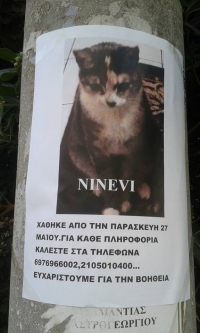 &Chi;ά&theta;&eta;&kappa;&epsilon; &gamma;&alpha;&tau;&omicron;ύ&lambda;&alpha;, &Pi;&epsilon;&tau;&rho;&omicron;ύ&pi;&omicron;&lambda;&eta;