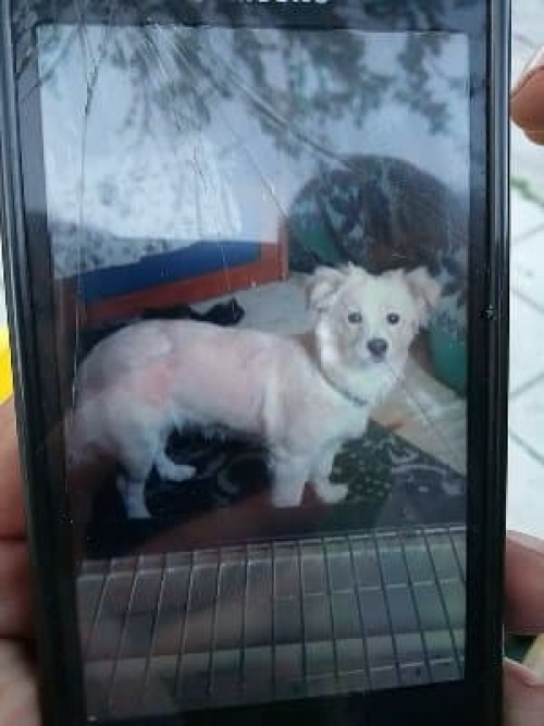 ΧΑΘΗΚΕ Η ΛΙΖΑ