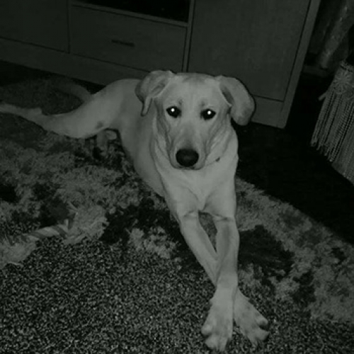 &Chi;ά&theta;&eta;&kappa;&epsilon; &sigma;&tau;&omicron; &Nu;έ&omicron; &Kappa;&omicron;&upsilon;&beta;&alpha;&rho;ά