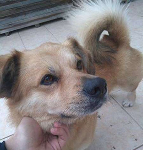 &Beta;&rho;έ&theta;&eta;&kappa;&epsilon; &sigma;&tau;&eta; &Nu;. &Mu;ά&kappa;&rho;&eta;