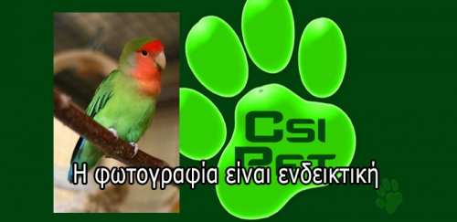 &Chi;ά&theta;&eta;&kappa;&alpha;&nu; &pi;&alpha;&pi;&alpha;&gamma;ά&lambda;&omicron;&iota;, &Theta;&epsilon;&sigma;/&nu;ί&kappa;&eta;