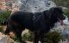 &Chi;ά&theta;&eta;&kappa;&epsilon; &eta;&mu;ί&alpha;&iota;&mu;&omicron; &Lambda;ά&mu;&pi;&rho;&alpha;&nu;&tau;&omicron;&rho;