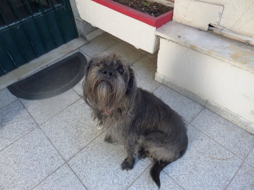 &Beta;&rho;έ&theta;&eta;&kappa;&epsilon; &theta;&eta;&lambda;&upsilon;&kappa;ό &Gamma;&kappa;&rho;&iota;&phi;ό&nu;