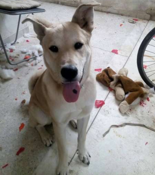 &Chi;ά&theta;&eta;&kappa;&epsilon; &eta;&mu;ί&alpha;&iota;&mu;&omicron; &Alpha;&kappa;ί&tau;&alpha;, &Alpha;&kappa;&alpha;&delta;&eta;&mu;ί&alpha; &Pi;&lambda;ά&tau;&omega;&nu;&omicron;&sigmaf;