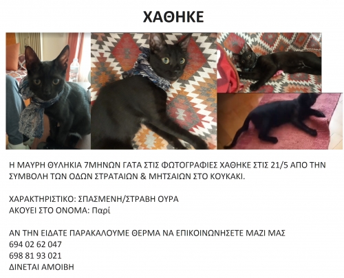 ΧΑΘΗΚΕ ΓΑΤΟΥΛΑ ΚΟΥΚΑΚΙ/ΑΚΡΟΠΟΛΗ