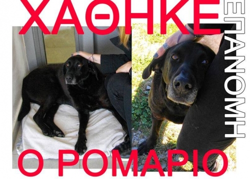 &Chi;ά&theta;&eta;&kappa;&epsilon; &Mu;&alpha;ύ&rho;&omicron; &sigma;&kappa;&upsilon;&lambda;ά&kappa;&iota;, &Epsilon;&pi;&alpha;&nu;&omicron;&mu;ή