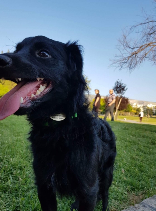 ΧΑΘΗΚΕ Ο ΑΞΕΛ