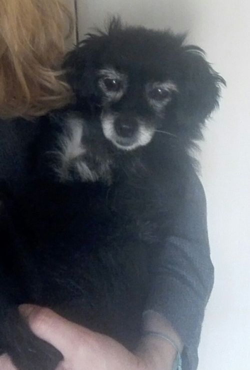 Βρέθηκε η μπουμπού μας!