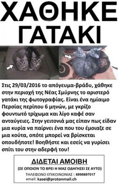 &Chi;ά&theta;&eta;&kappa;&epsilon; &gamma;&kappa;&rho;&iota; &gamma;&alpha;&tau;ά&kappa;&iota;, &Nu;έ&alpha; &Sigma;&mu;ύ&rho;&nu;&eta;