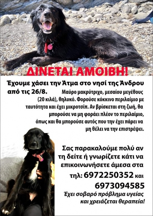 ΧΑΘΗΚΕ Η ΑΤΜΑ