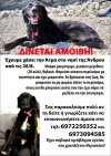 &Chi;&Alpha;&Theta;&Eta;&Kappa;&Epsilon; &Eta; &Alpha;&Tau;&Mu;&Alpha;