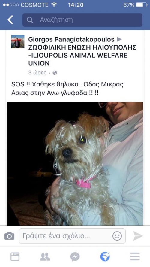 &Chi;ά&theta;&eta;&kappa;&epsilon; &mu;&pi;&epsilon;&zeta; &theta;&eta;&lambda;&upsilon;&kappa;ό &sigma;&kappa;&upsilon;&lambda;ά&kappa;&iota;