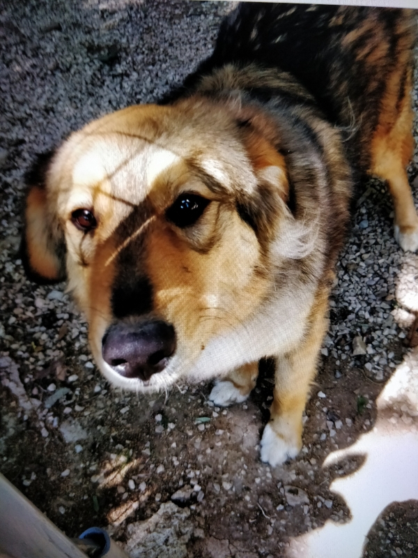 Χάθηκε ή Χαρά στο Μαρούσι.