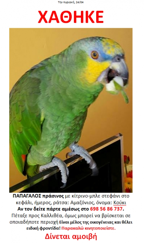 &Chi;ά&theta;&eta;&kappa;&epsilon; &pi;&alpha;&pi;&alpha;&gamma;&alpha;&lambda;&omicron;&sigmaf; &pi;&rho;ά&sigma;&iota;&nu;&omicron;&sigmaf;