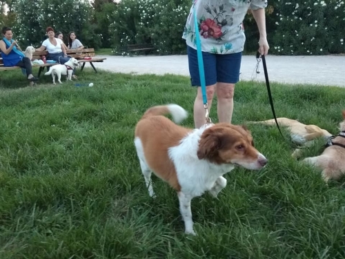 Βρέθηκε Ευελπίδων